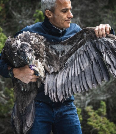 Il ritorno degli avvoltoi 